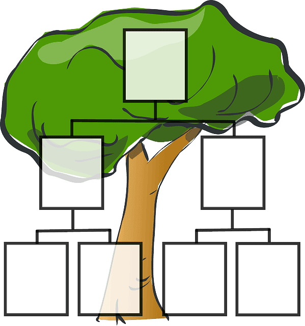 family tree